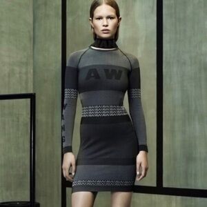 Alexander Wang BodyCon Dress S